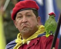 hugo_chavez_parrot1