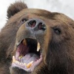 russianbear